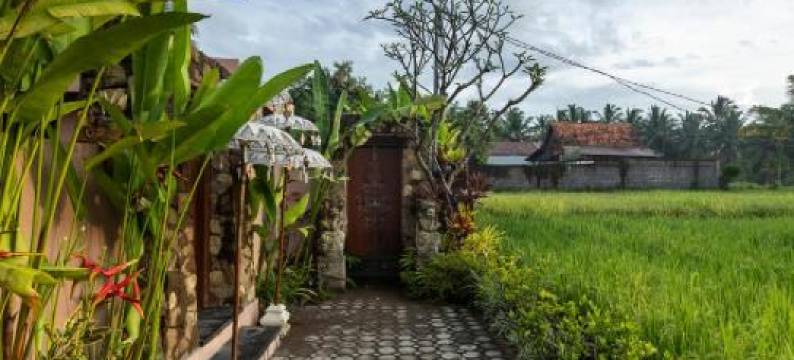 别墅(Villa Niyamas Ubud)图片
