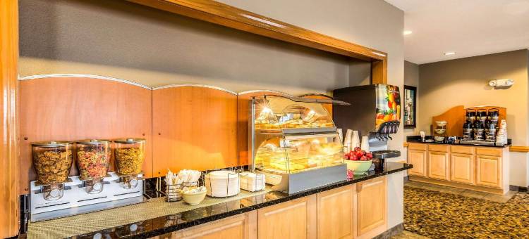 亨德森维尔平岩凯艺酒店(Quality Inn & Suites Hendersonville - Flat Rock)图片