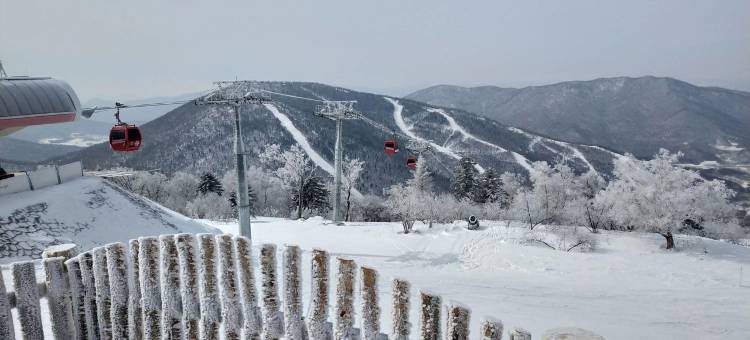 张兆健特色民宿图片