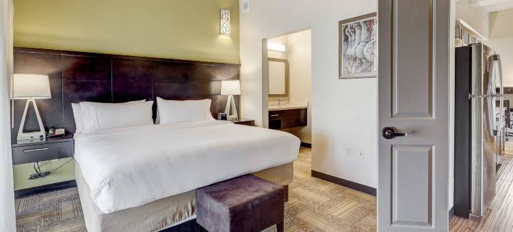 巴尔的摩 - 内港洲际Staybridge Suites酒店(Staybridge Suites BALTIMORE - INNER HARBOR by IHG)图片