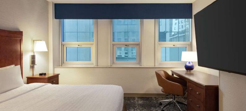 曼哈顿/下城区金融中心希尔顿欢朋酒店(Hampton Inn Manhattan/Downtown-Financal District)图片