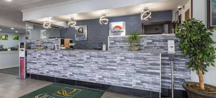 东北 I-77 郊区开间(Suburban Studios Rock Hill Northeast I-77)图片