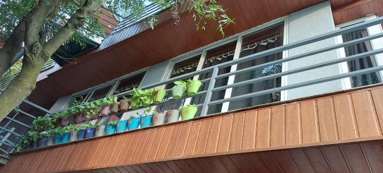 Nitya Eco Family Resort and Farmhouse图片