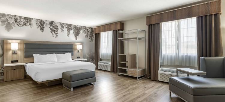 葡萄园贝斯特韦斯特优质酒店(Best Western Plus Vineyard Inn)图片