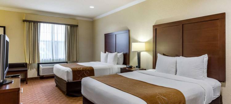 克利尔莱克舒适套房酒店-近NASA(Comfort Suites Near NASA - Clear Lake)图片