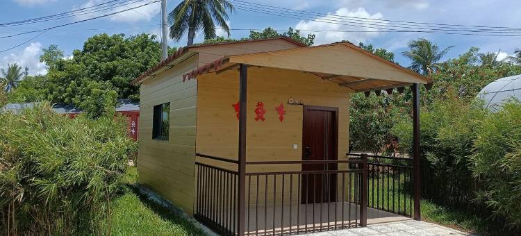 马龙温泉民宿(新兴路分店)图片