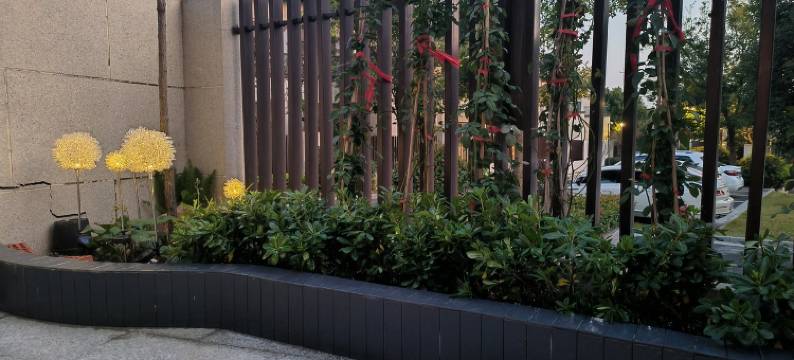 四季草堂度假别墅(访仙路分店)图片