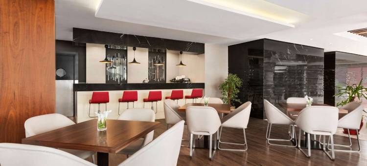 伊斯坦布尔卡塔尔华美达安可酒店(Ramada Encore by Wyndham Istanbul Kartal)图片