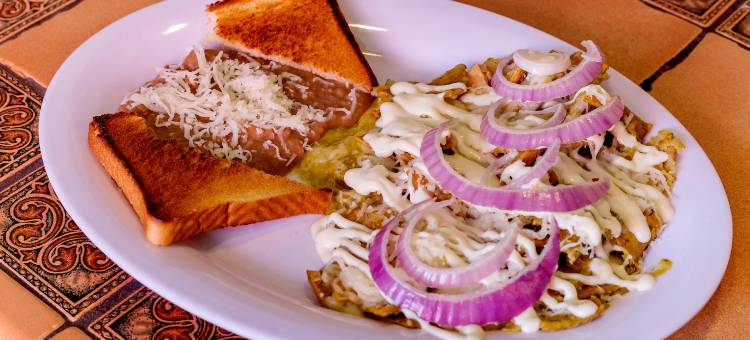 托雷酒店(Hotel Torre)图片