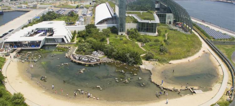 棕榈泉酒店(Hotel Palm Spring)图片