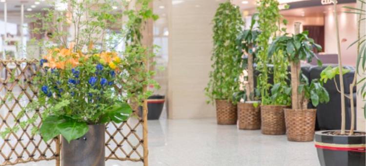 东京新白河Daiichi酒店(Tokyo Daiichi Hotel Shinshirakawa)图片