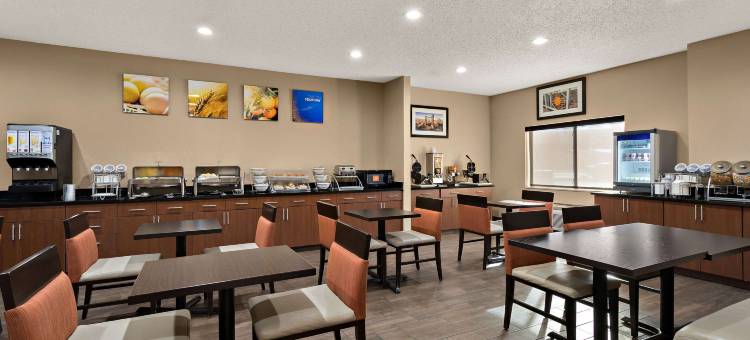 拉斯克鲁塞斯综合康福特套房套房(Comfort Suites University)图片