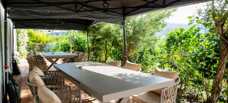 梦之谷民宿图片