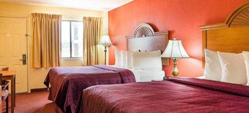 范比伦索内斯塔臻选酒店(Sonesta Essential Van Buren)图片