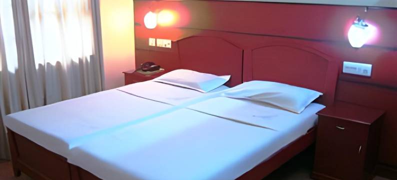 萨斯大厦酒店(Saas Tower)图片