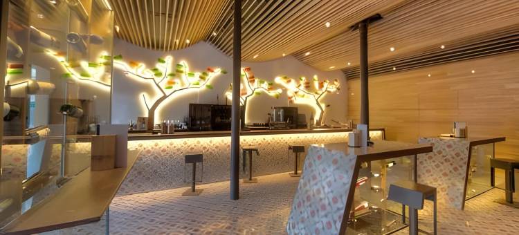 白银之路SPA酒店(Eurostars Vía de la Plata)图片