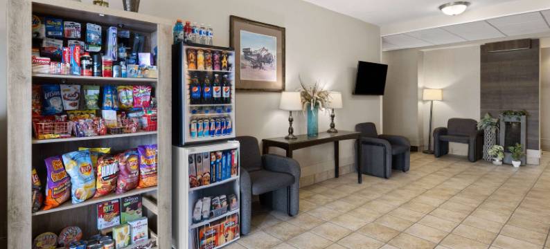 麦克默里堡Travelodge by Wyndham酒店(Travelodge by Wyndham Fort McMurray)图片