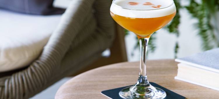 杰克逊维尔圣约翰斯镇中心 AC 酒店(AC Hotel Jacksonville St Johns Town Center)图片