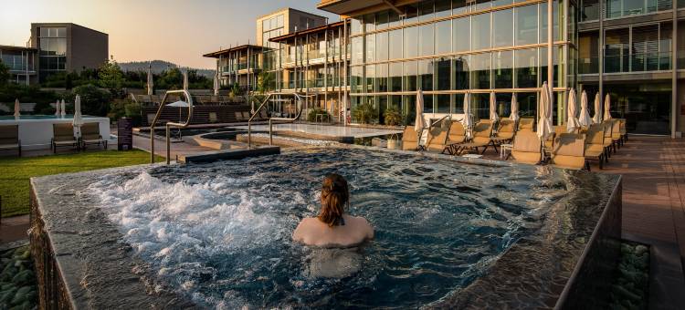 亚夸拉克斯温泉套房酒店(Aqualux Hotel Spa Suite & Terme)图片