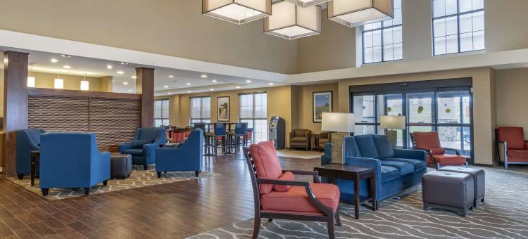 舒适套房酒店-曼海姆兰开斯特(Comfort Suites Manheim - Lancaster)图片