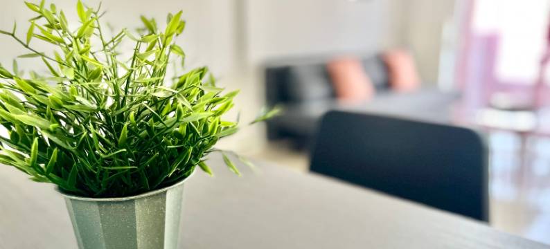 埃尔维塔公寓2号(Elvita Apartments 2)图片