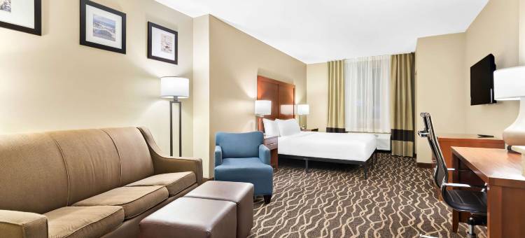 舒适套房酒店-坦帕机场北(Comfort Suites Tampa Airport North)图片