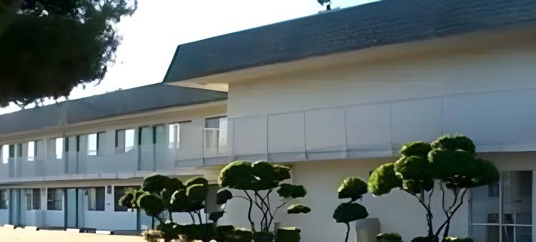 丽笙公园酒店，特雷西(Super 8 by Wyndham Tracy)图片