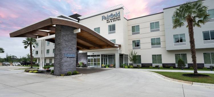 阿卡德尔菲亚万枫酒店及套房(Fairfield Inn & Suites Arkadelphia)图片