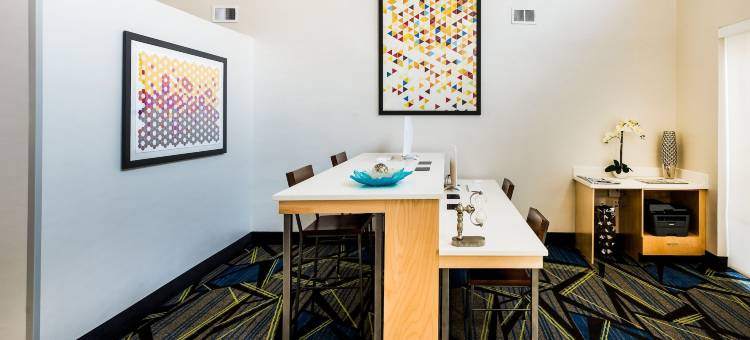 夏洛特机场-贝尔蒙特洲际智选假日套房酒店(Holiday Inn Express & Suites CHARLOTTE ARPT-BELMONT by IHG)图片