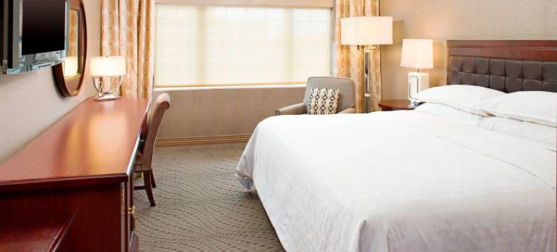 洛克维尔喜来登酒店(Sheraton Rockville)图片