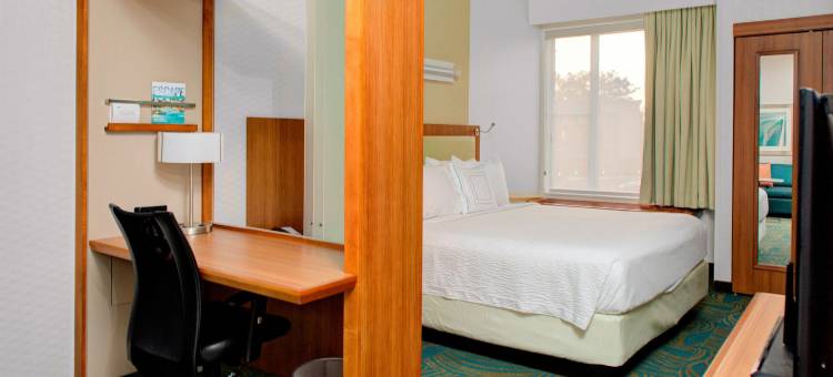 奥古斯塔SpringHill Suites酒店(SpringHill Suites Augusta)图片