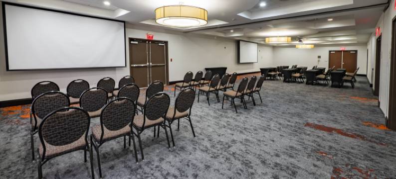 希尔顿花园酒店-亚特兰大南-麦克多诺(Hilton Garden Inn Atlanta South-McDonough)图片