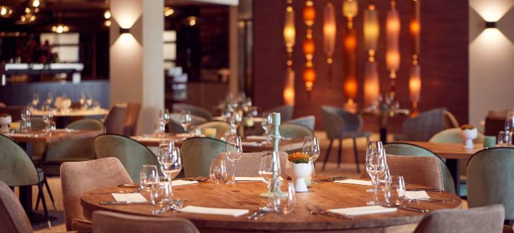 凡德尔瓦克内兰德 - 斯赫尔特吉恩波斯酒店(Van der Valk Hotel Nuland - 's-Hertogenbosch)图片