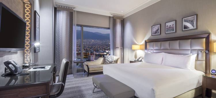 布尔萨会议中心希尔顿水疗酒店(Hilton Bursa Convention Center & Spa)图片