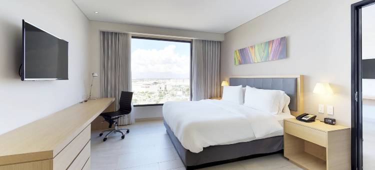 梅尼达希尔顿花园酒店(Hilton Garden Inn Merida)图片