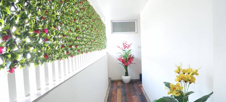 Dnyanprabha Executive图片