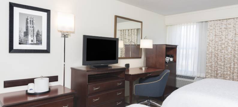 东兰辛欢朋酒店(Hampton Inn East Lansing)图片