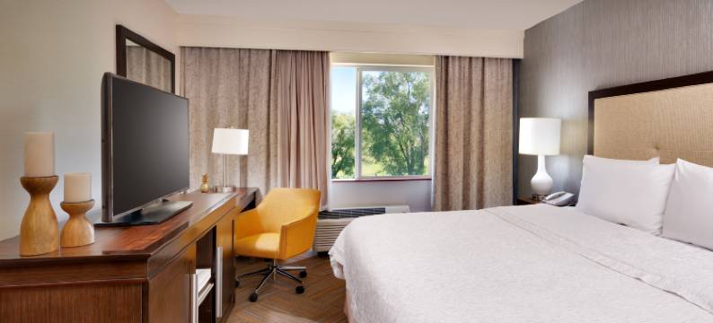 希尔顿欢朋酒店-盐湖城中心(Hampton Inn Salt Lake City Central)图片