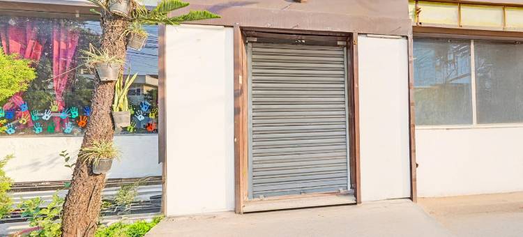 Collection O Race Course Dehradun图片