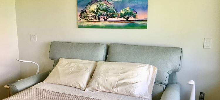 North Shore海景乡村别墅(North Shore Ocean View Cottage)图片