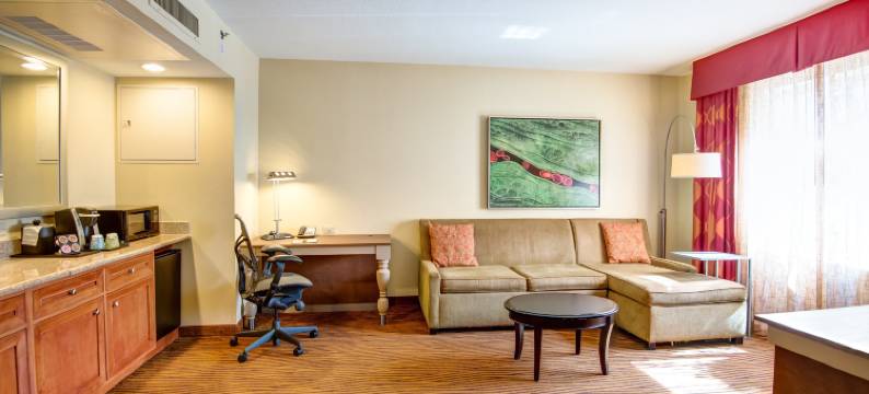 坦帕易勃尔历史区希尔顿花园酒店(Hilton Garden Inn Tampa Ybor Historic District)图片