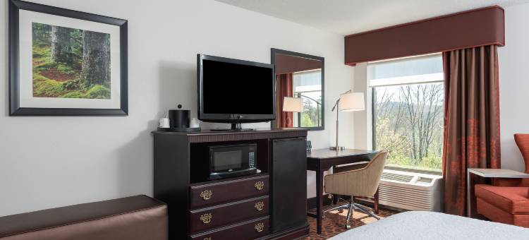 帕克/矿泉井城欢朋酒店(Hampton Inn Parkersburg-Mineral Wells)图片