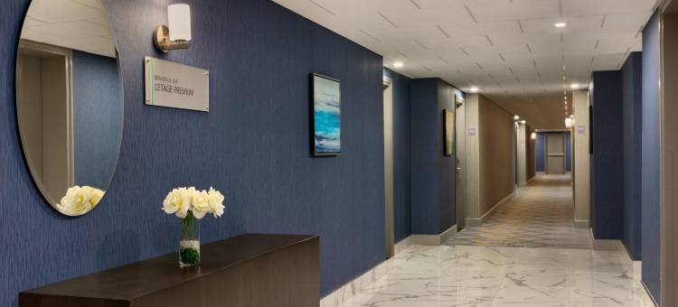 蒙特利尔机场希尔顿大使套房酒店(Embassy Suites by Hilton Montreal Airport)图片