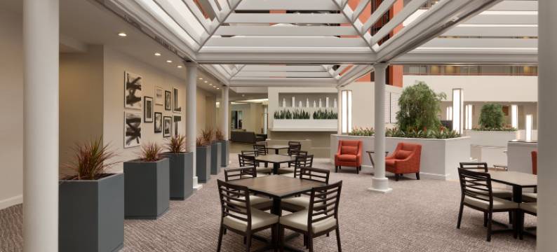 巴尔的摩华盛顿国际机场希尔顿大使套房酒店(Embassy Suites by Hilton Baltimore at BWI Airport)图片