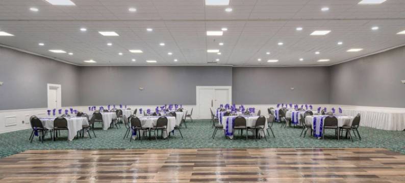 珍珠在孔乔(Pearl on the Concho)图片