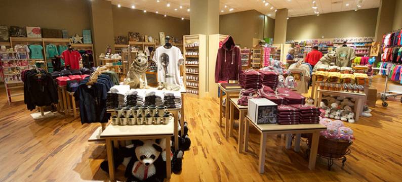 阿纳海姆大狼屋酒店(Great Wolf Lodge Southern California)图片