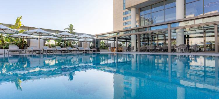 Signia by Hilton Amman图片