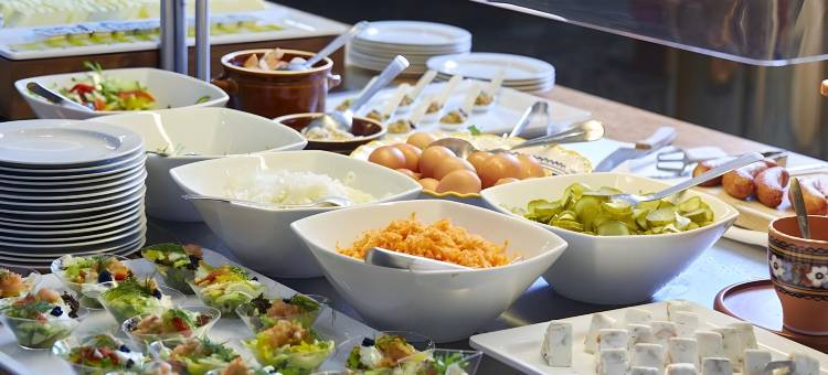 布尔诺沃罗奥雷阿酒店(Orea Hotel Voro Brno)图片