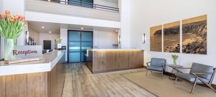 希尔顿度假俱乐部里维埃拉海滩和海岸(Hilton Vacation Club Riviera Beach & Shores)图片