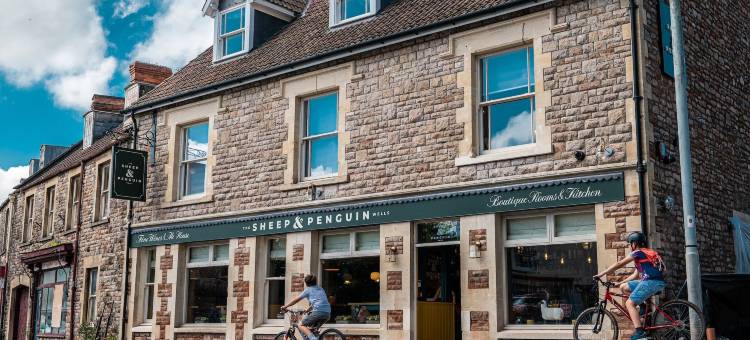 羊和企鹅(The Sheep and Penguin)图片